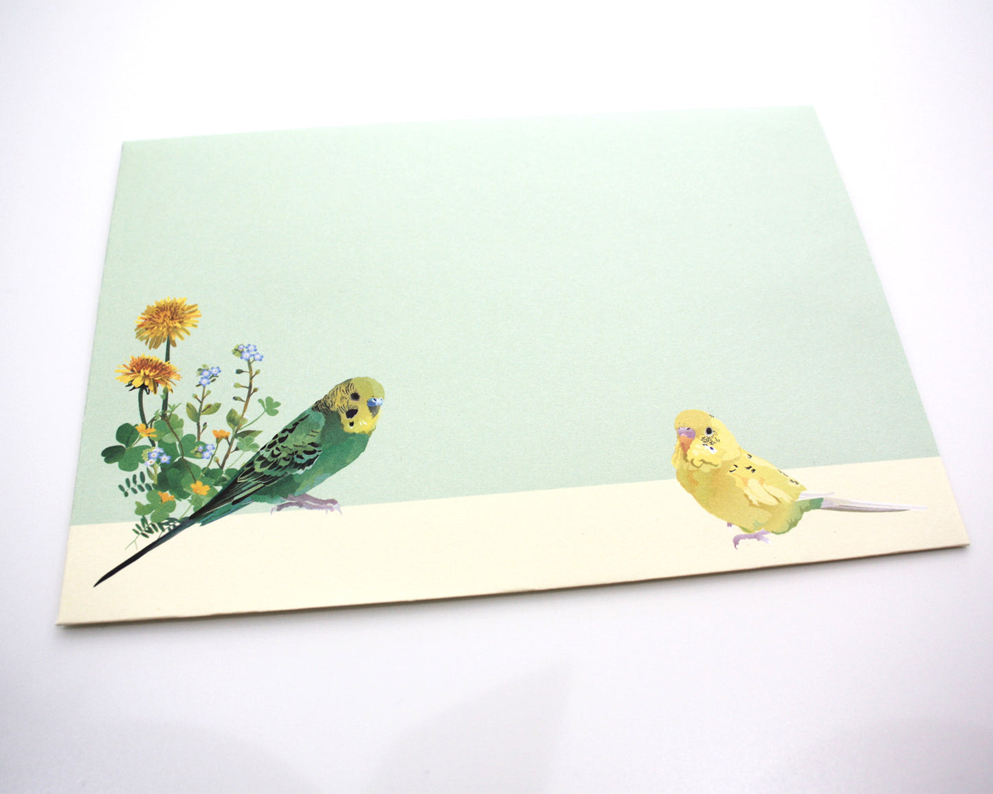 レターセット とりアート セキセイインコとひよこ草