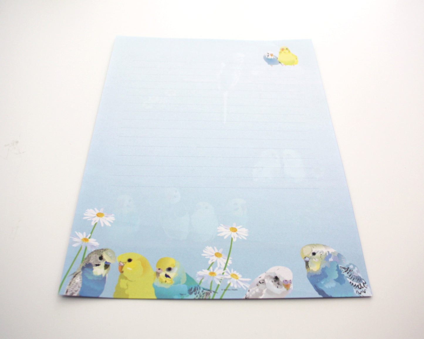 レターセット とりアート ゆめいろいんこ セキセイインコ