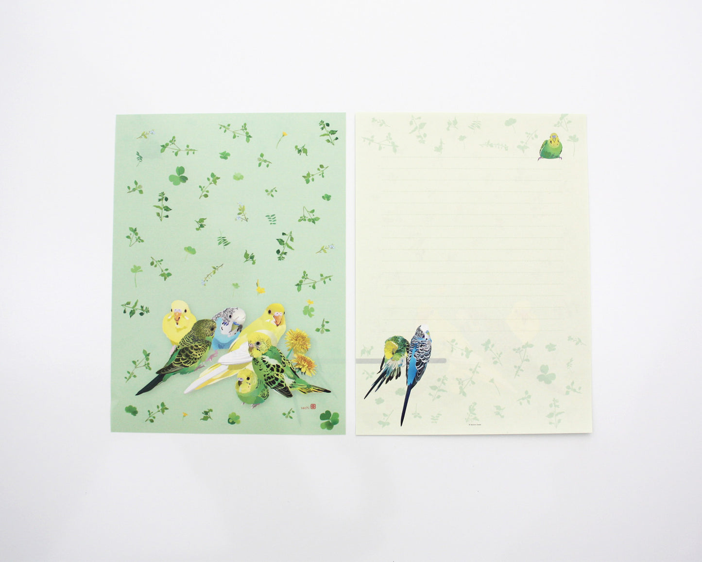 レターセット とりアート セキセイインコとひよこ草