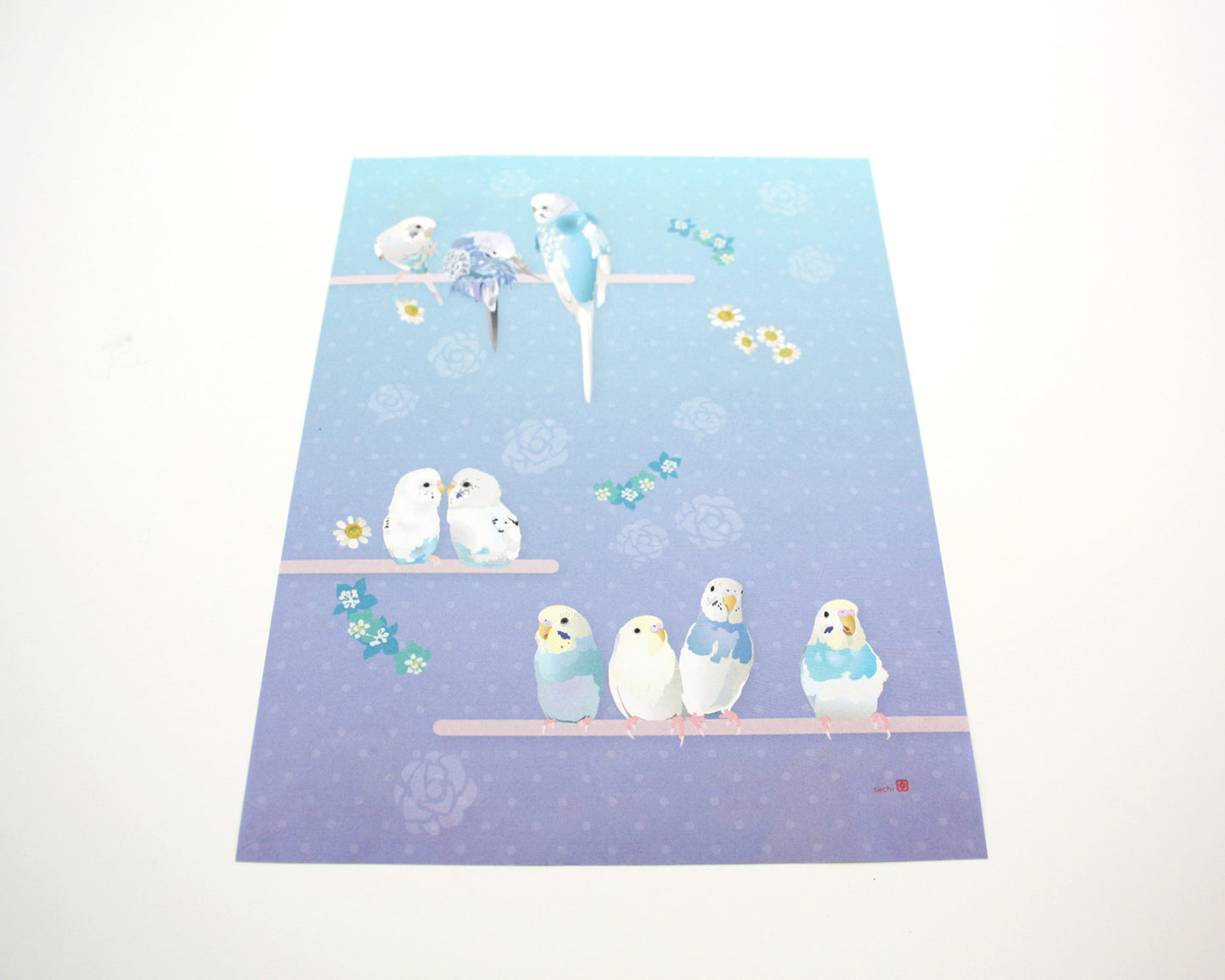 レターセット とりアート ゆめいろいんこ セキセイインコ