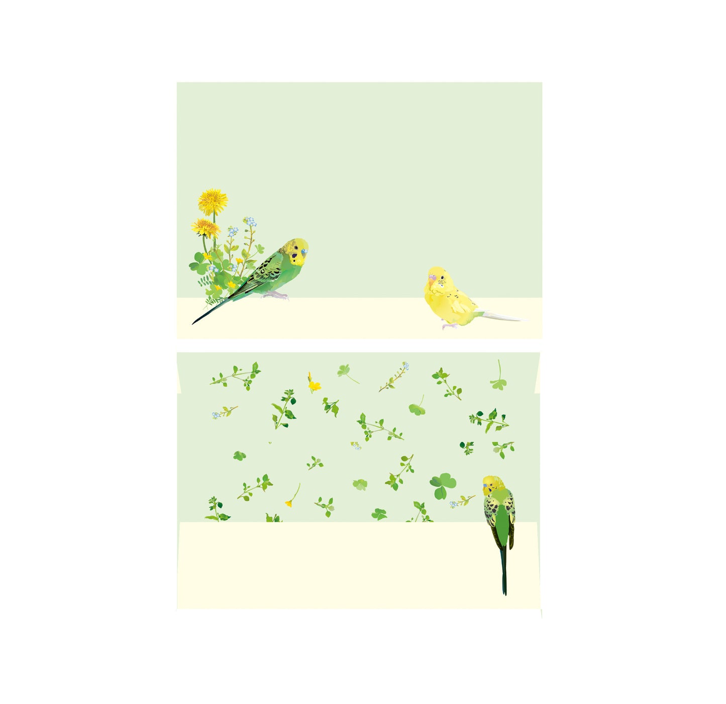 レターセット とりアート セキセイインコとひよこ草