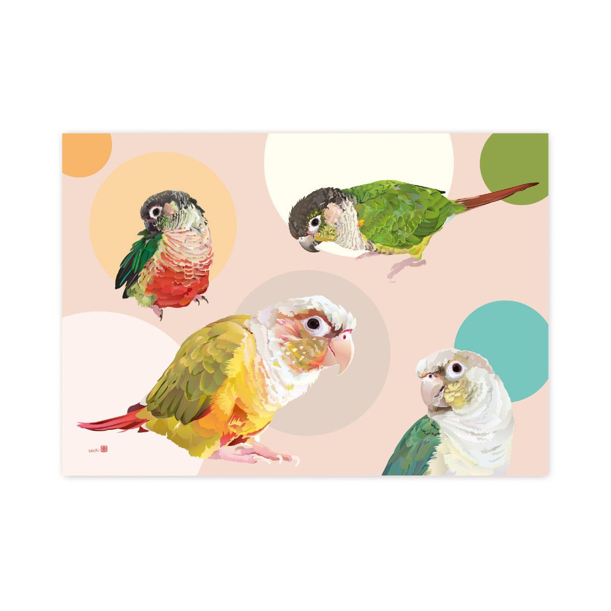 メモ帳 とりアート ほんわかうろこ ウロコインコ