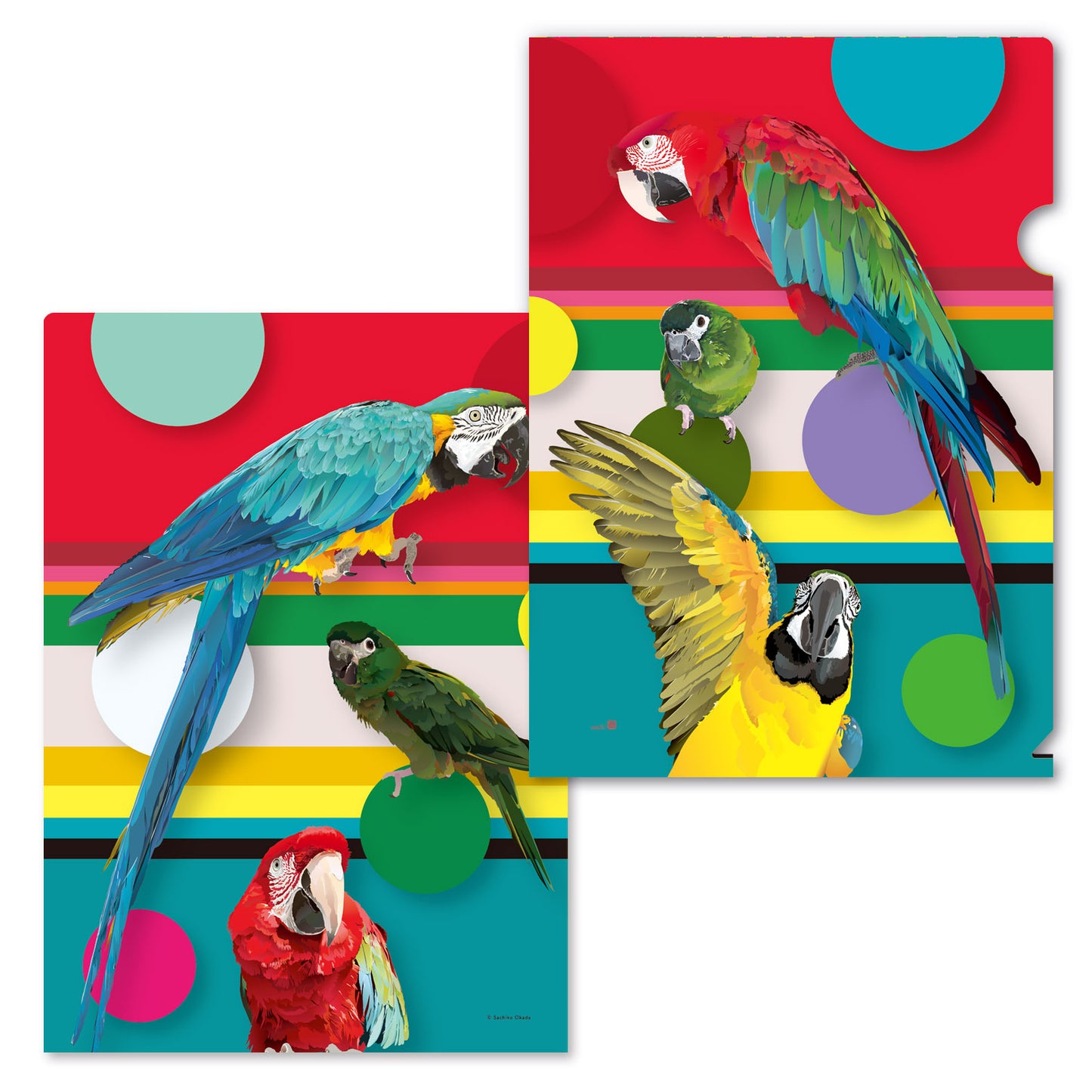 A4 クリアファイル とりアート コンゴウズ コンゴウインコ