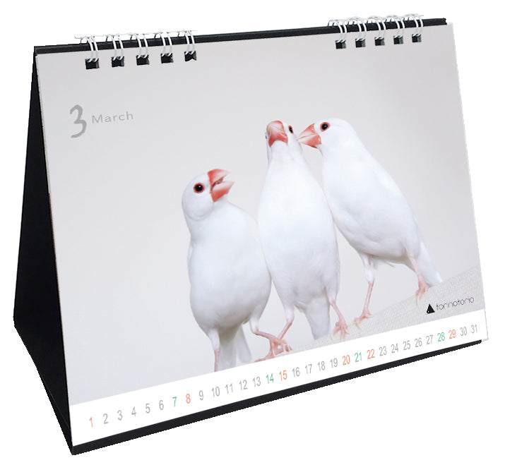 (予約販売)2026年版 今日のぶんこカレンダー 卓上タイプ 文鳥