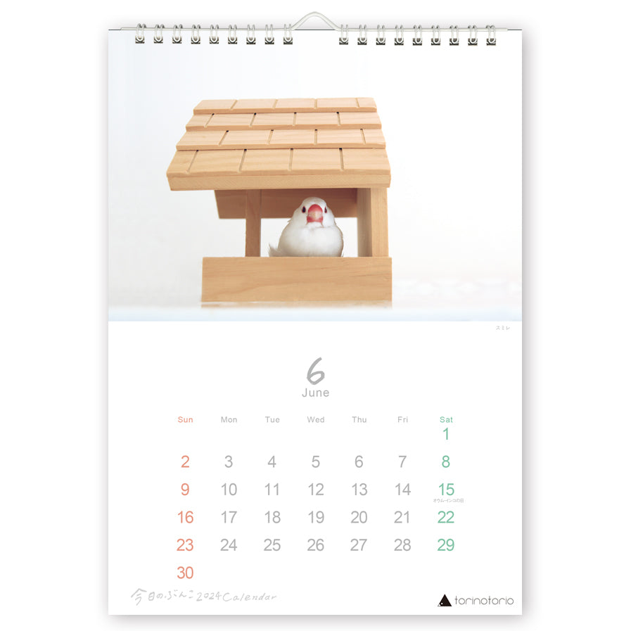 2024年版 今日のぶんこ A4壁掛けカレンダー