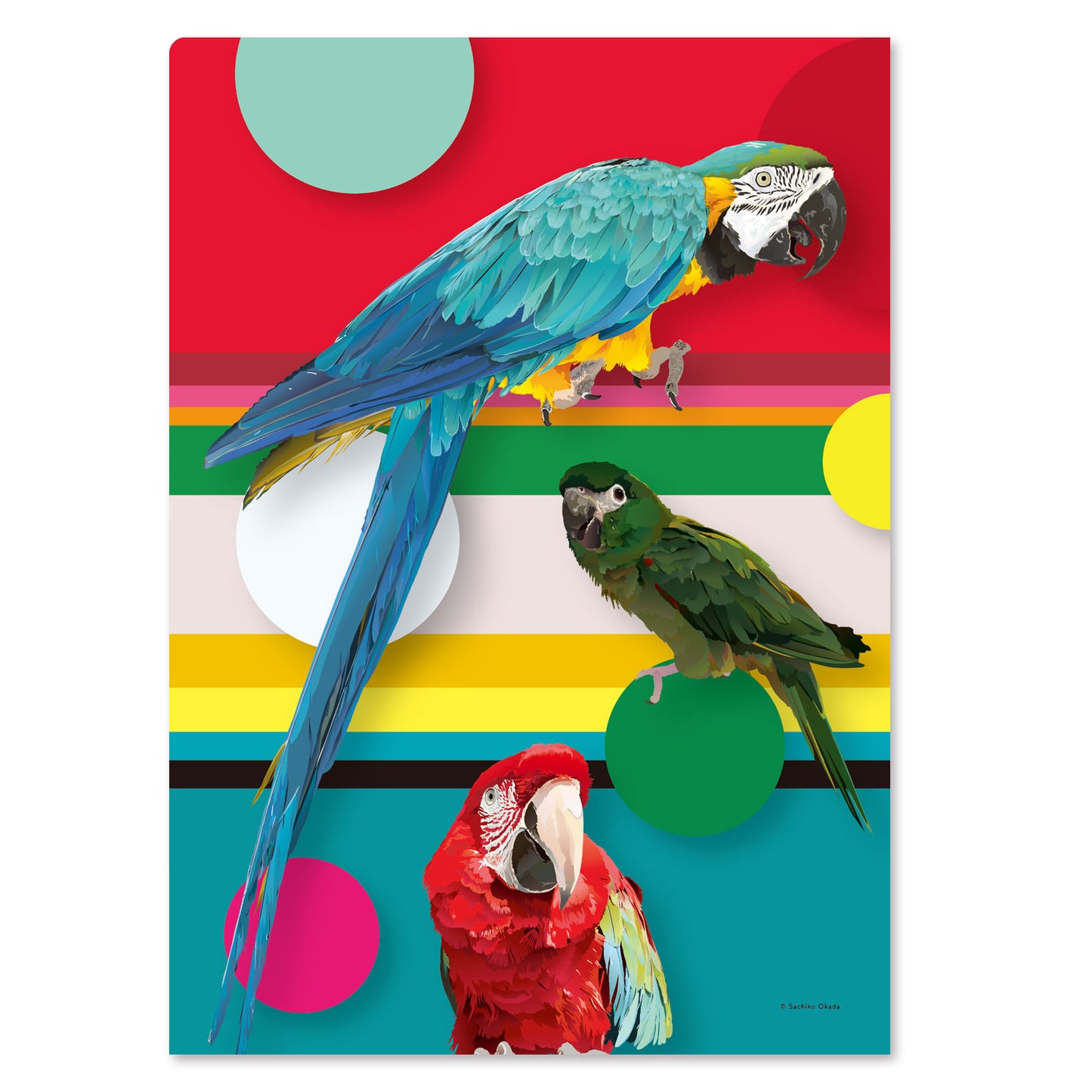 A4 クリアファイル とりアート コンゴウズ コンゴウインコ