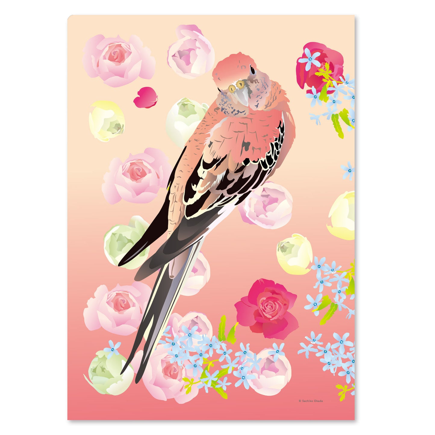 A4 クリアファイル とりアート アキクサインコ ばらいろインコ