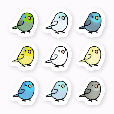 Chubby Bird  マメルリハ ステッカー ミニサイズ 防水仕様 貼り直し可 厚手 PVC素材 クーポン利用不可