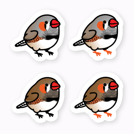 Chubby Bird キンカチョウ ステッカー スモールサイズ 防水仕様 貼り直し可 厚手 PVC素材 クーポン利用不可