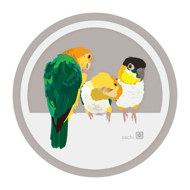アクリルコースター とりアート シロハラインコ ズグロシロハラインコ A