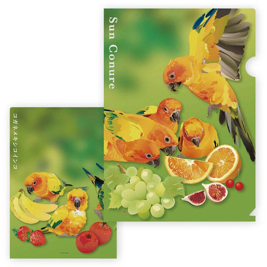 A4 クリアファイル とりアート  コガネメキシコ Green