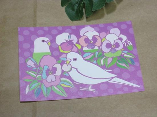 ポストカード パンジーとセキセイインコ - 小鳥雑貨専門のお店 スウィート・バーディー・ブティック