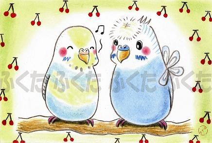 ポストカード 2羽は仲良し セキセイインコ - 小鳥雑貨専門のお店 スウィート・バーディー・ブティック