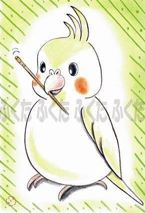 ポストカード つまようじで遊ぶオカメさん オカメインコ - 小鳥雑貨専門のお店 スウィート・バーディー・ブティック