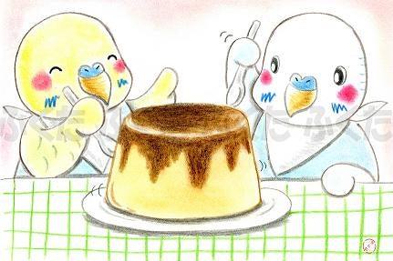 ポストカード どうやって食べようかな セキセイインコ - 小鳥雑貨専門のお店 スウィート・バーディー・ブティック