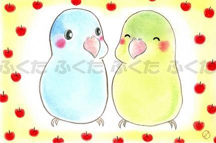 ポストカード 仲良しマメルリハさん マメルリハ - 小鳥雑貨専門のお店 スウィート・バーディー・ブティック