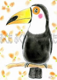 ポストカード こんにちは、オオハシです。 - 小鳥雑貨専門のお店 スウィート・バーディー・ブティック