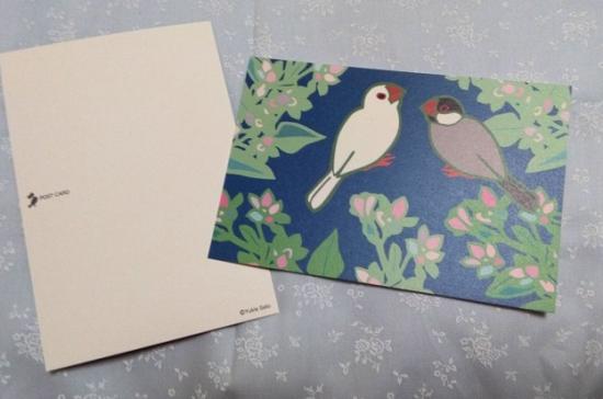 ポストカード 宵の刻 文鳥 - 小鳥雑貨専門のお店 スウィート・バーディー・ブティック