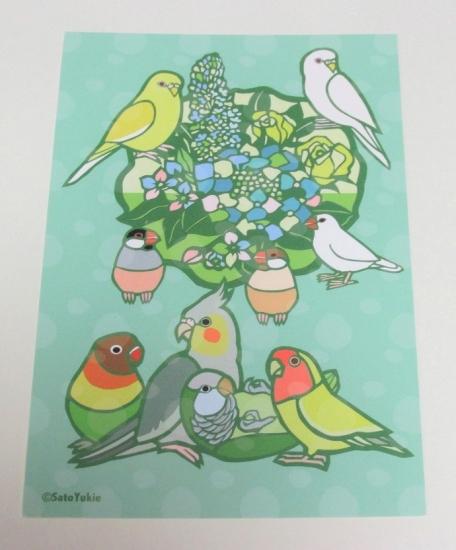 切り絵作家 サトウユキエ ポストカード 緑の季節 セキセイインコ、文鳥、ボタンインコ、オカメインコ、オキナインコ、コザクラインコ - 小鳥雑貨専門のお店 スウィート・バーディー・ブティック