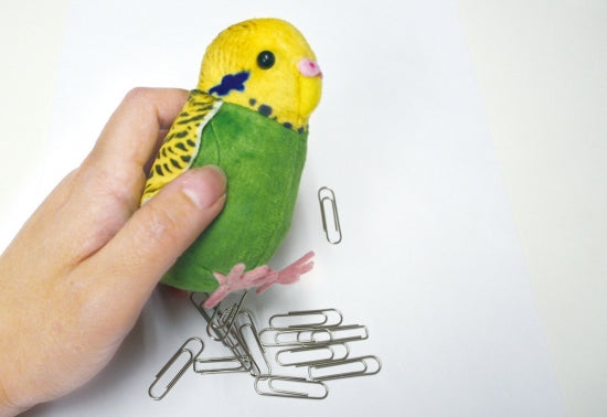 50% OFF ぬいぐるみマグネット コンゴウインコ - 小鳥雑貨専門のお店 スウィート・バーディー・ブティック