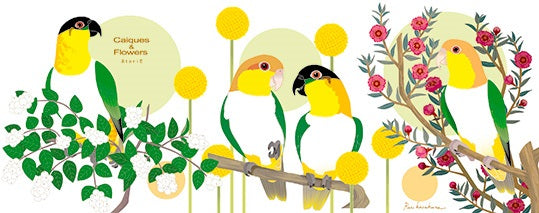 マグカップ シロハラインコ ズグロシロハラインコ - 小鳥雑貨専門のお店 スウィート・バーディー・ブティック