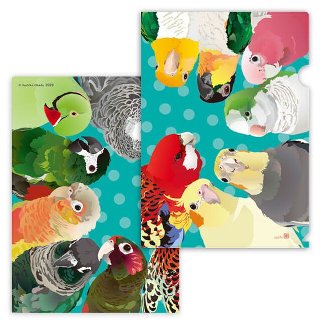 A4 クリアファイル ワカケホンセイインコ、ヨウム、シロハラインコ、ズグロシロハラインコ、モモイロインコ、オキナインコ、オカメインコ、ロリキート、ウロコインコ、コンゴウインコ - 小鳥雑貨専門のお店 スウィート・バーディー・ブティック