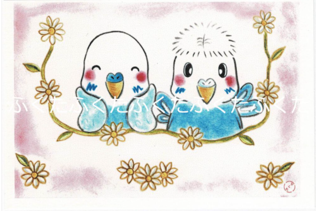 ポストカード げんきかなぁ〜 セキセイインコ