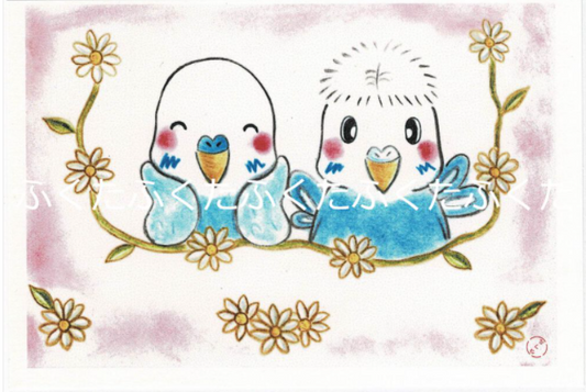 ポストカード げんきかなぁ〜 セキセイインコ