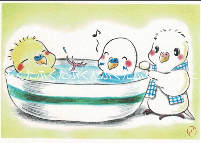 ポストカード いい湯だなぁ〜 セキセイインコ