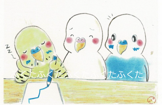 ポストカード 寝てるよ〜 セキセイインコ