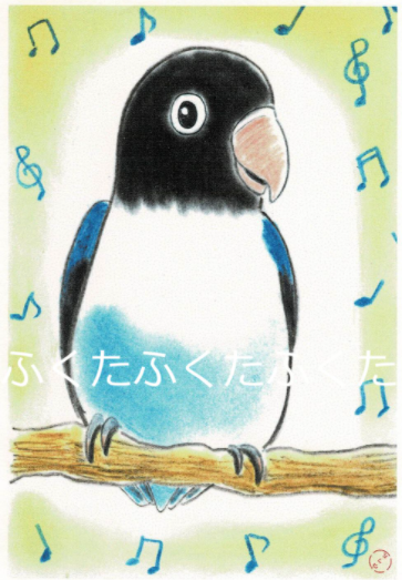 ポストカード ボタンインコちゃん