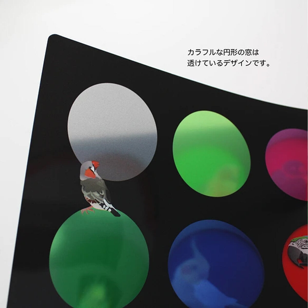 A4 クリアファイル とりアート カラフルホール いろんな鳥さん