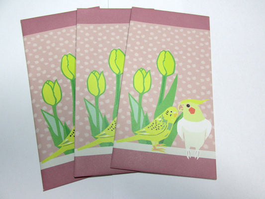 ことり封筒 インコ レターセット - 小鳥雑貨専門のお店 スウィート・バーディー・ブティック