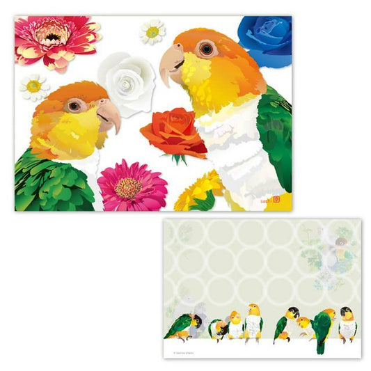 メモ帳 とりアート シロハラフラワー シロハラインコ ズグロシロハラインコ