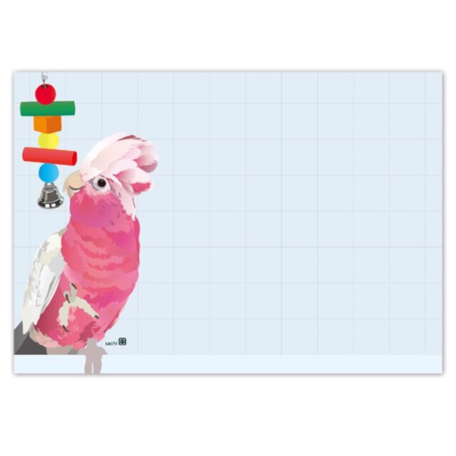 メモ帳 ワカケホンセイインコ、ヨウム、シロハラインコ、ズグロシロハラインコ、モモイロインコ、オキナインコ、オカメインコ、ロリキート、ウロコインコ、コンゴウインコ - 小鳥雑貨専門のお店 スウィート・バーディー・ブティック