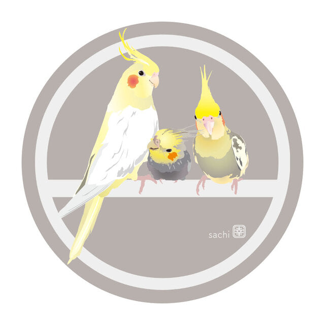 アクリルコースター とりアート オカメインコ B 3羽
