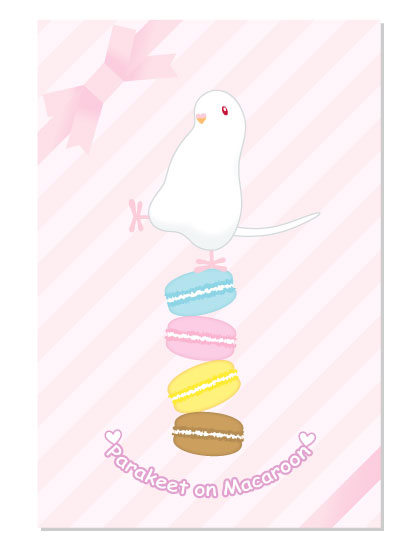 ポストカード ポッピンマカロン☆ セキセイインコ アルビノ - 小鳥雑貨専門のお店 スウィート・バーディー・ブティック