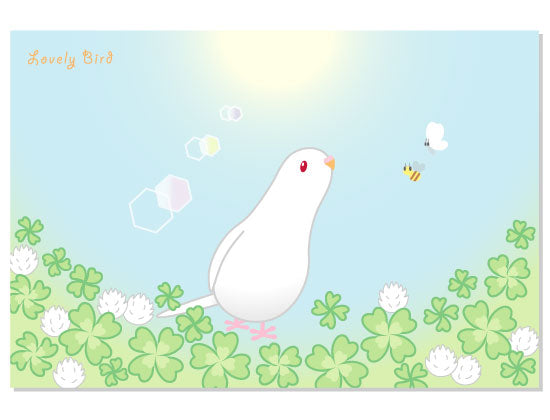 ポストカード クローバーフィールド セキセイインコ・アルビノ - 小鳥雑貨専門のお店 スウィート・バーディー・ブティック