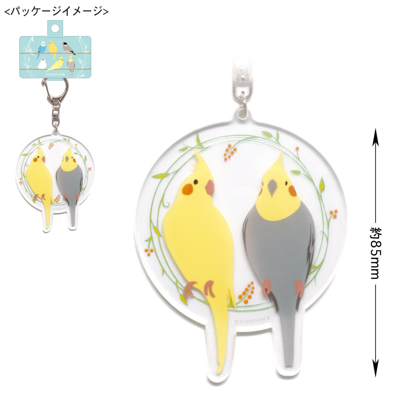 pi: アクリルキーホルダー オカメインコ