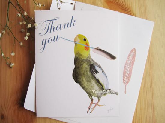 グリーティングカード サンキューカード オカメインコ 封筒付き二つ折りカード - 小鳥雑貨専門のお店 スウィート・バーディー・ブティック