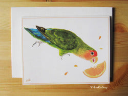 グリーティングカード ラブバード 封筒付き二つ折りカード コザクラインコ - 小鳥雑貨専門のお店 スウィート・バーディー・ブティック