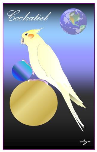 宇宙オカメインコ ポストカード - 小鳥雑貨専門のお店 スウィート・バーディー・ブティック