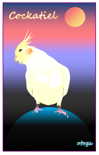 宇宙オカメインコ2 ポストカード - 小鳥雑貨専門のお店 スウィート・バーディー・ブティック