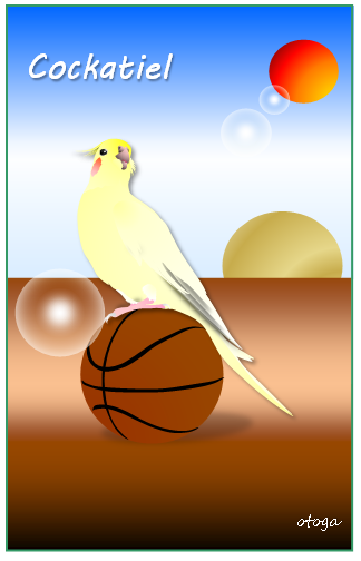 宇宙オカメインコ4 ポストカード - 小鳥雑貨専門のお店 スウィート・バーディー・ブティック