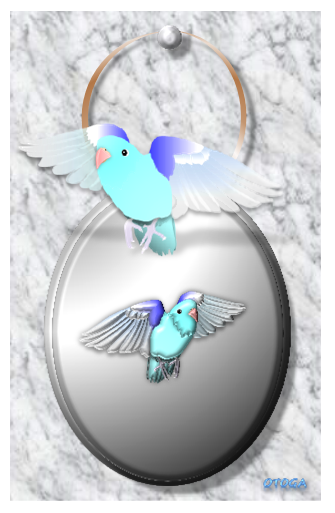 ペンダント NO.2 マメルリハ ポストカード - 小鳥雑貨専門のお店 スウィート・バーディー・ブティック