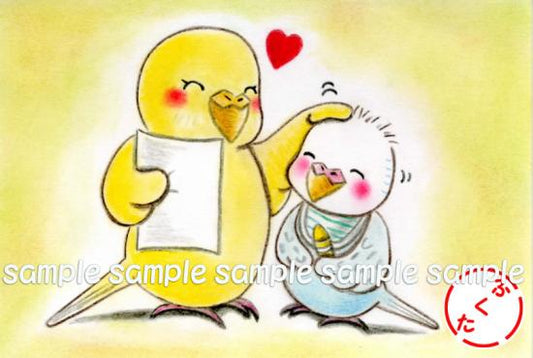 ポストカード セキセイインコ ありがとね - 小鳥雑貨専門のお店 スウィート・バーディー・ブティック