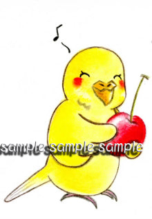 ステッカー セキセイインコ ルチノー - 小鳥雑貨専門のお店 スウィート・バーディー・ブティック