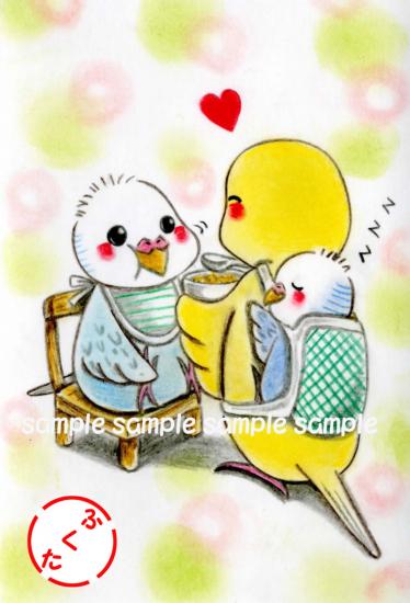 ポストカード セキセイインコ いっぱい食べて大きくなってね。 - 小鳥雑貨専門のお店 スウィート・バーディー・ブティック