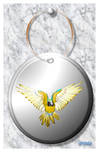 ペンダント NO.3 ルリコンゴウインコ ポストカード - 小鳥雑貨専門のお店 スウィート・バーディー・ブティック