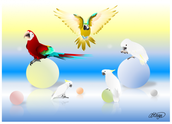 アートプリント 宇宙インコ A4サイズ ベニコンゴウインコ、ルリコンゴウインコ、キバタン、タイハクオウム - 小鳥雑貨専門のお店 スウィート・バーディー・ブティック